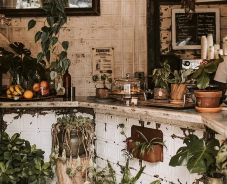 Crasemper Auctor Neque Witaetempus post img 2 optimized