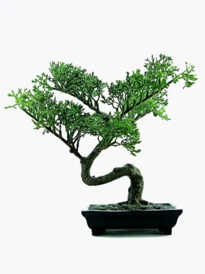 product image 2 optimized product image 2 optimized